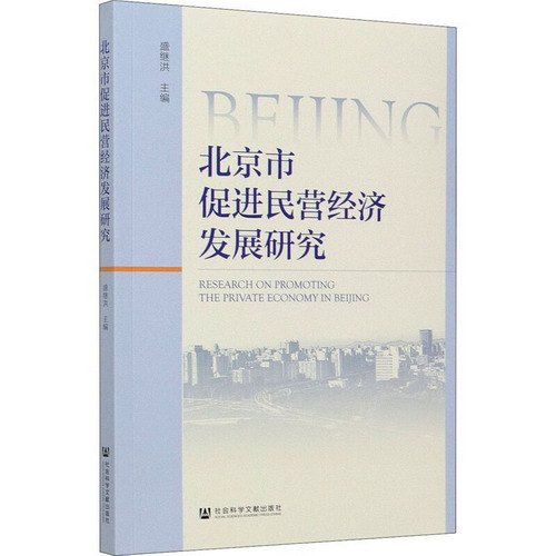 北京市促進民營經濟發展研究