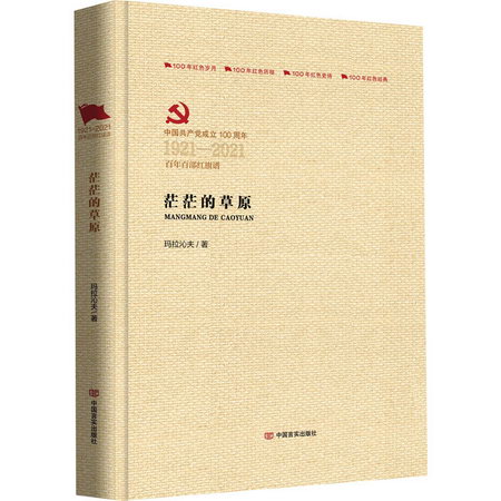 智慧風暴(中國共產黨成立100周年1921-2021百年百部紅旗譜)(精)