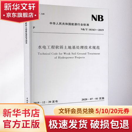 水電工程軟弱土地基處理技術規範 NB/T 10343-2019 圖書