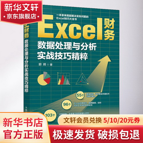 Excel財務數據處理與分析實戰技巧精粹 圖書