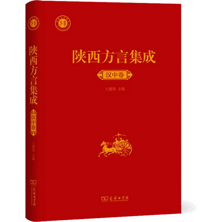 陝西方言集成 漢中卷 圖書