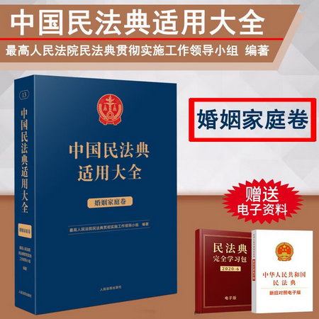 中國民法典適用大全 婚姻家庭卷 圖書
