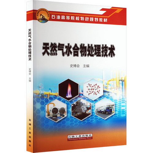天然氣水合物處理技術 圖書