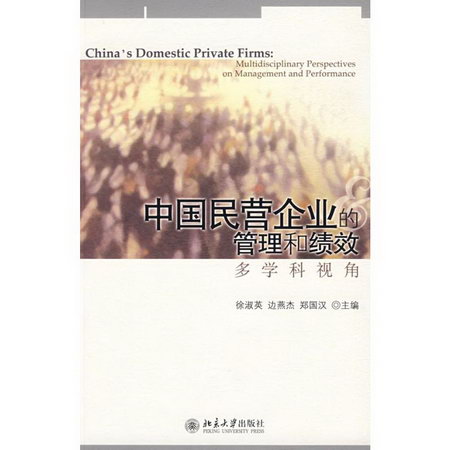 中國民營企業的管理和績效:多學科視角