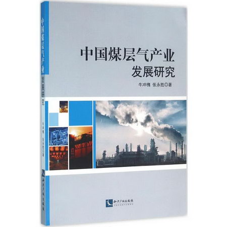 中國煤層氣產業發展研究