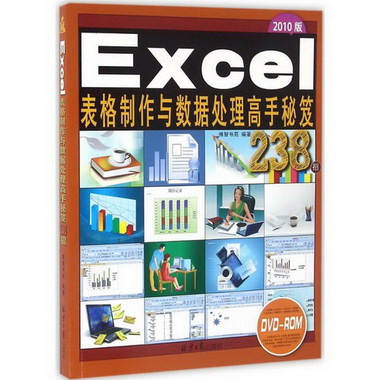 Excel表格制作與數據處理高手秘笈238招(2010版)