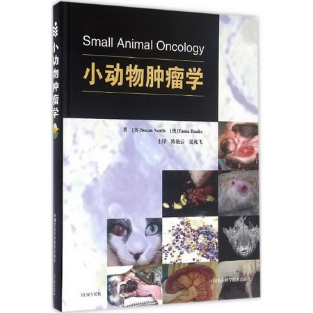 小動物腫瘤學