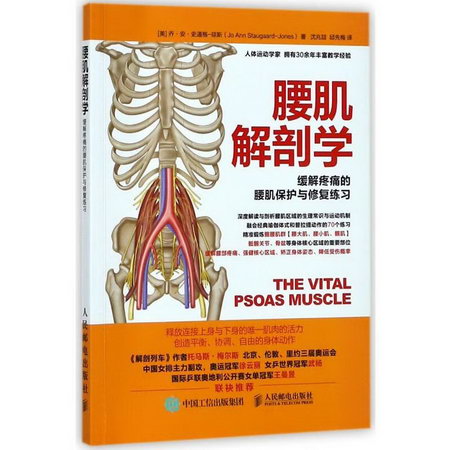 腰肌解剖學:緩解疼痛的腰肌保護與修復練習