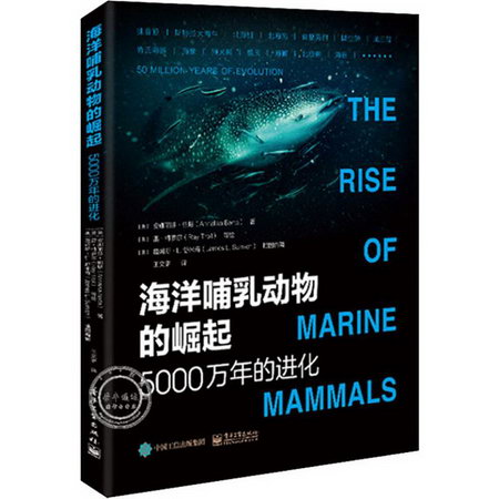 海洋哺乳動物的崛起 5000萬年的進化
