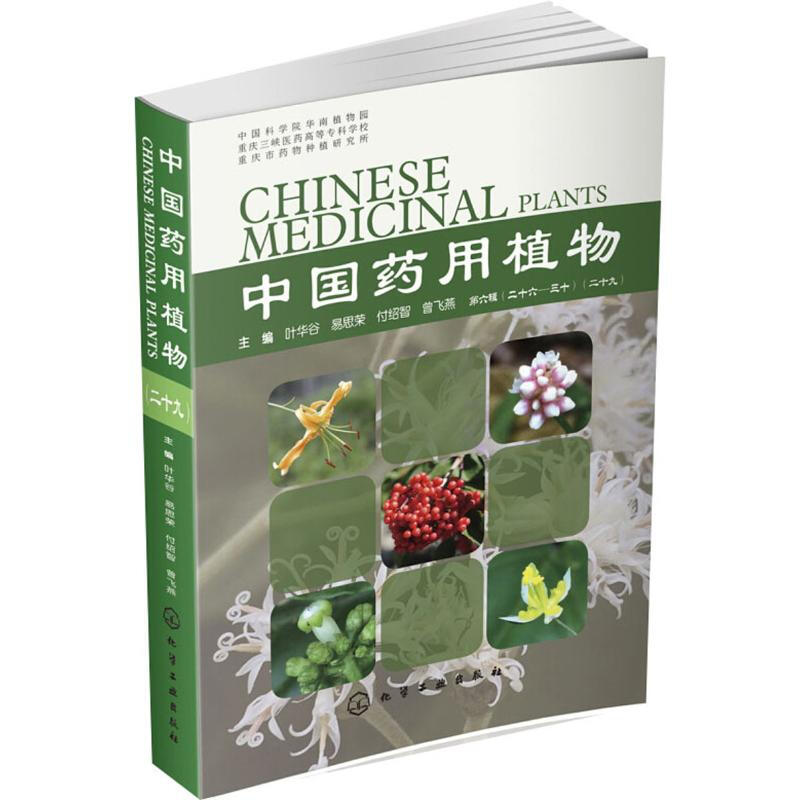 中國藥用植物(29)