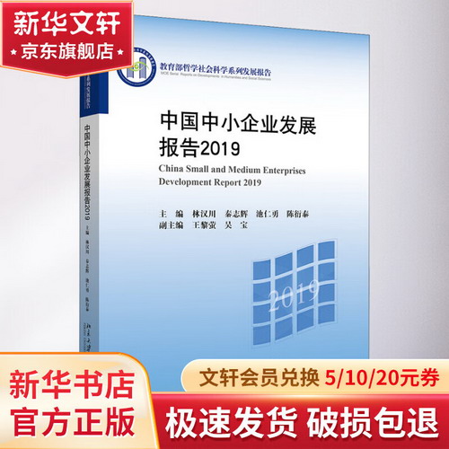 中國中小企業發展報告2019