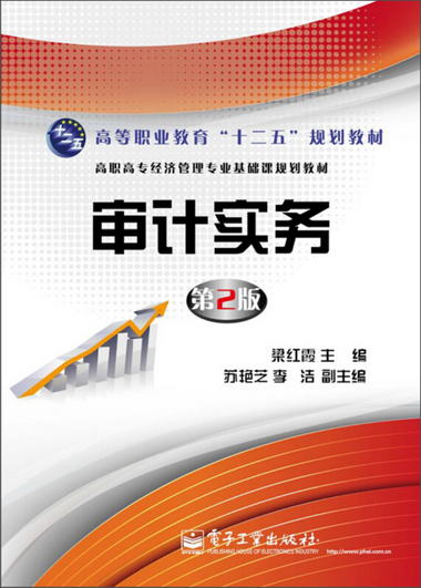 高職高專經濟管理專業基礎課規劃教材：審計實務（第2版）