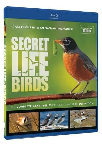 196088BD25G【BBC：鳥類秘聞/鳥的秘密生活】2012 評分8.5