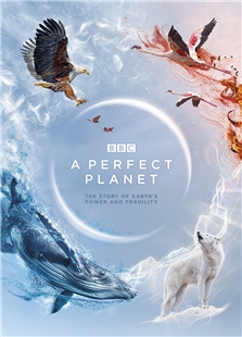 藍光電影 BBC：完美星球 2碟 2021 豆瓣9.7高分紀錄片