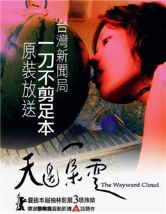 藍光電影 BD25 天邊一朵雲 2005 臺灣最大尺度限制級爭議作品
