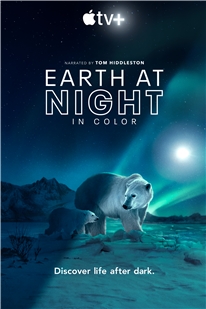 藍光電影 BD25 夜色中的地球 第二季 2021 豆瓣評分9.1分紀錄片