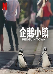 藍光電影 BD25 企鵝小鎮 2碟裝 2021最新紀錄片佳作