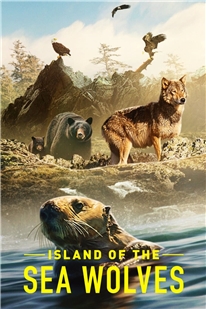 藍光電影 BD25 海狼之島 2022網飛最新上映動物紀錄片