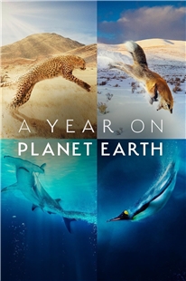 地球上的一年 2碟裝 2022 全新視角野生動物大型紀錄片