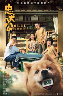 藍光電影碟 BD25 忠犬八公中國版 2023 豆瓣高分國產劇情