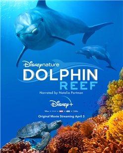 藍光電影碟 BD25 海豚礁 2020迪斯尼出品故事性動物紀錄片