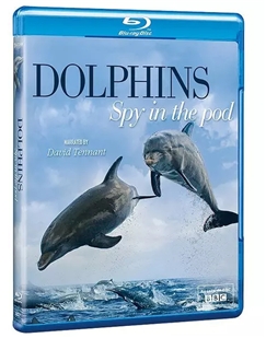 藍光電影碟 BD25 【BBC】臥底海豚幫 2014 豆瓣9.1高分紀錄片