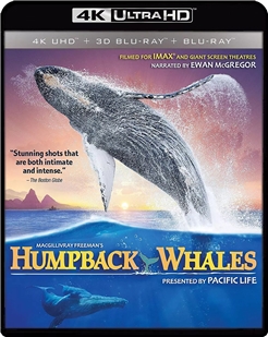 4K UHD 藍光電影碟 座頭鯨 2015 豆瓣8.3高分 紀錄片
