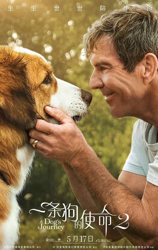 BD25-2D 一條狗的使命2/狗狗的旅程2 A Dog’s Journey (2019) 豆瓣6.9