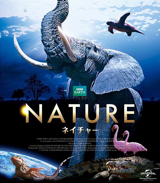 BD50-3D BD50-3D 魔法王國 「BBC年度巨獻 全程4K3D攝制」示範級畫質 豆瓣8.8