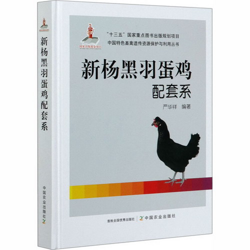 新楊黑羽蛋雞配套繫