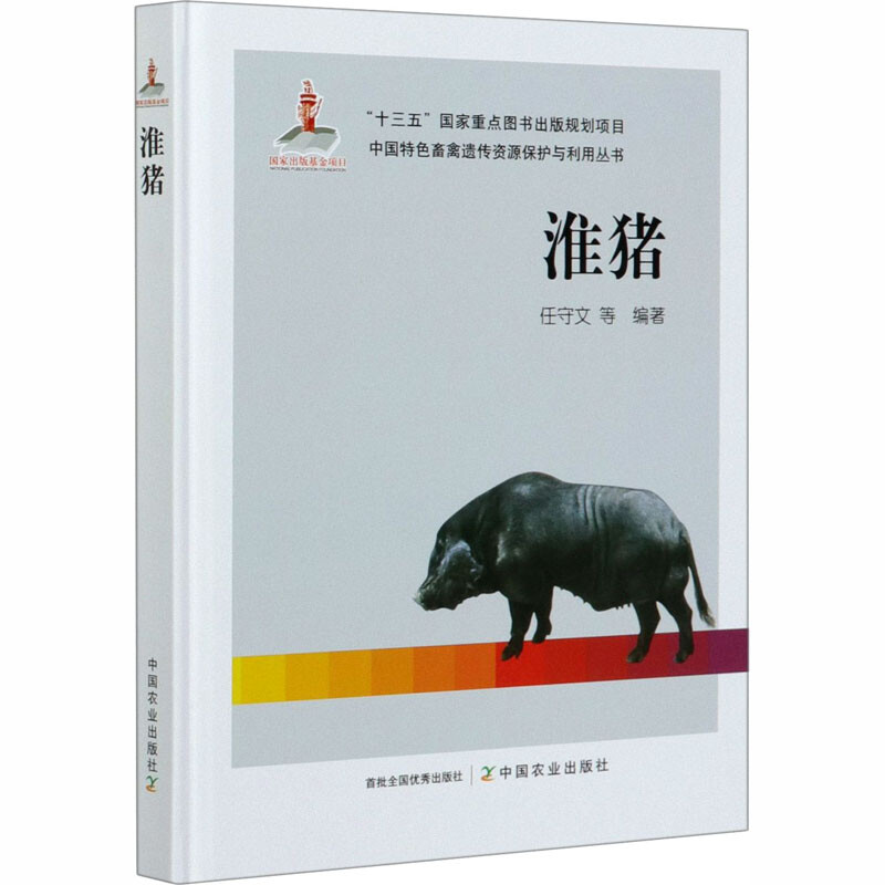 淮豬