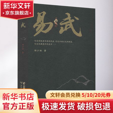 易武