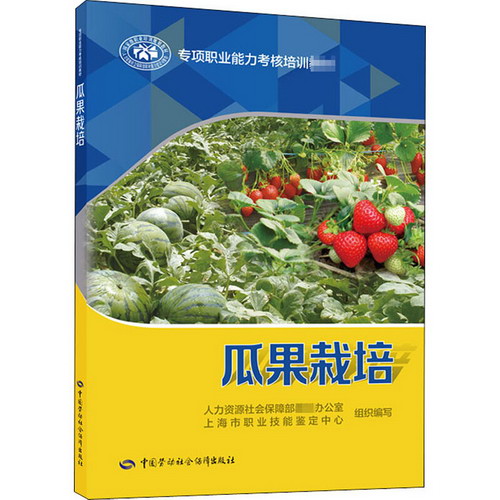 瓜果栽培