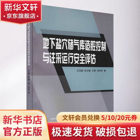 地下鹽穴儲氣庫造腔控制與注采運行安全評估 圖書
