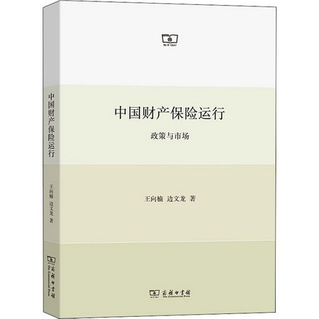 中國財產保險運行 政策與市場 圖書