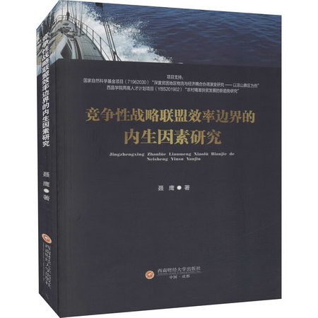 競爭性戰略聯盟效率邊界的內生因素研究 圖書