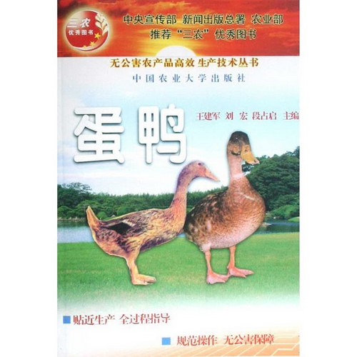 蛋鴨