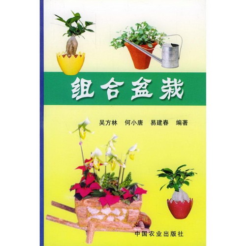 組合盆栽