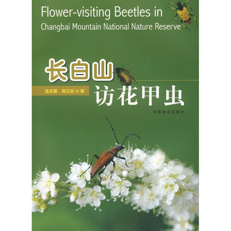 長白山訪花甲蟲