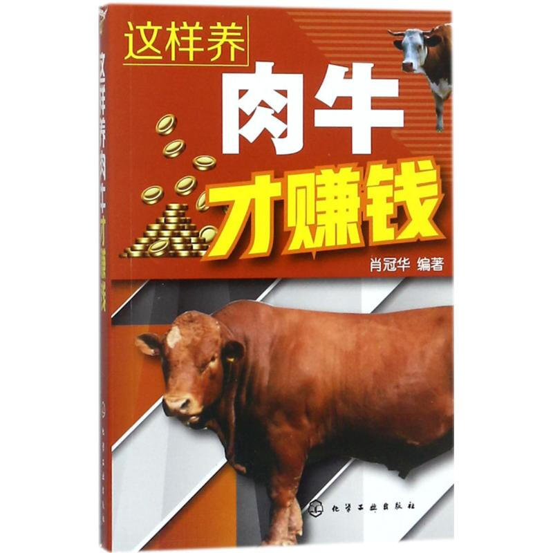 這樣養肉牛纔賺錢
