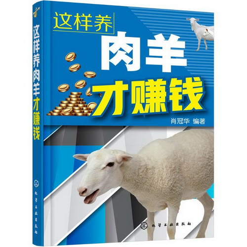 這樣養肉羊纔賺錢