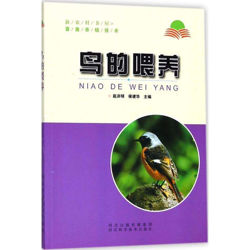 鳥的喂養