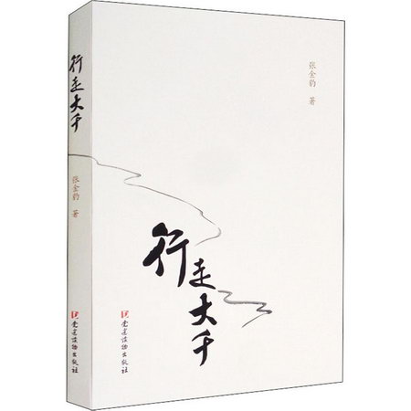 行走大千 張金豹 著 畫畫入門自學零基礎教程書教材 繪畫書籍手繪