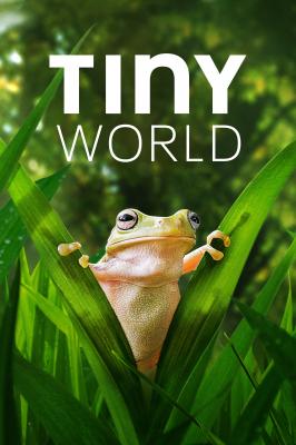 4K 25G 4K PS5 小小世界 第二季 Tiny World Season 2 (2021)  豆瓣9.6