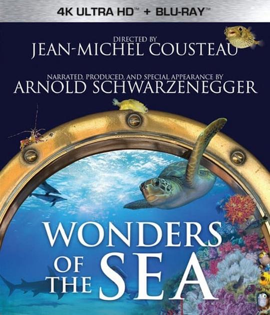 4K 25G 4K-25G 奇妙的海洋 Wonders of the Sea (2017)  豆瓣7.9
