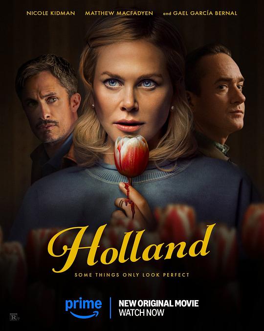 BD25-2D 荷蘭鎮/歡迎來到荷蘭 Holland (2025) 高清版
